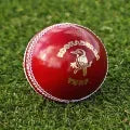 Kooka bura Red Hard Ball For T20 Cricket - Hardball Red T-20 Cricket Hard Ball 1 piece