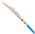 GRAY NICOLLS Hard Ball Cricket Bat 2025 – HIGH QUALITY | Best Price in Pakistan 🏏–TM Sports.